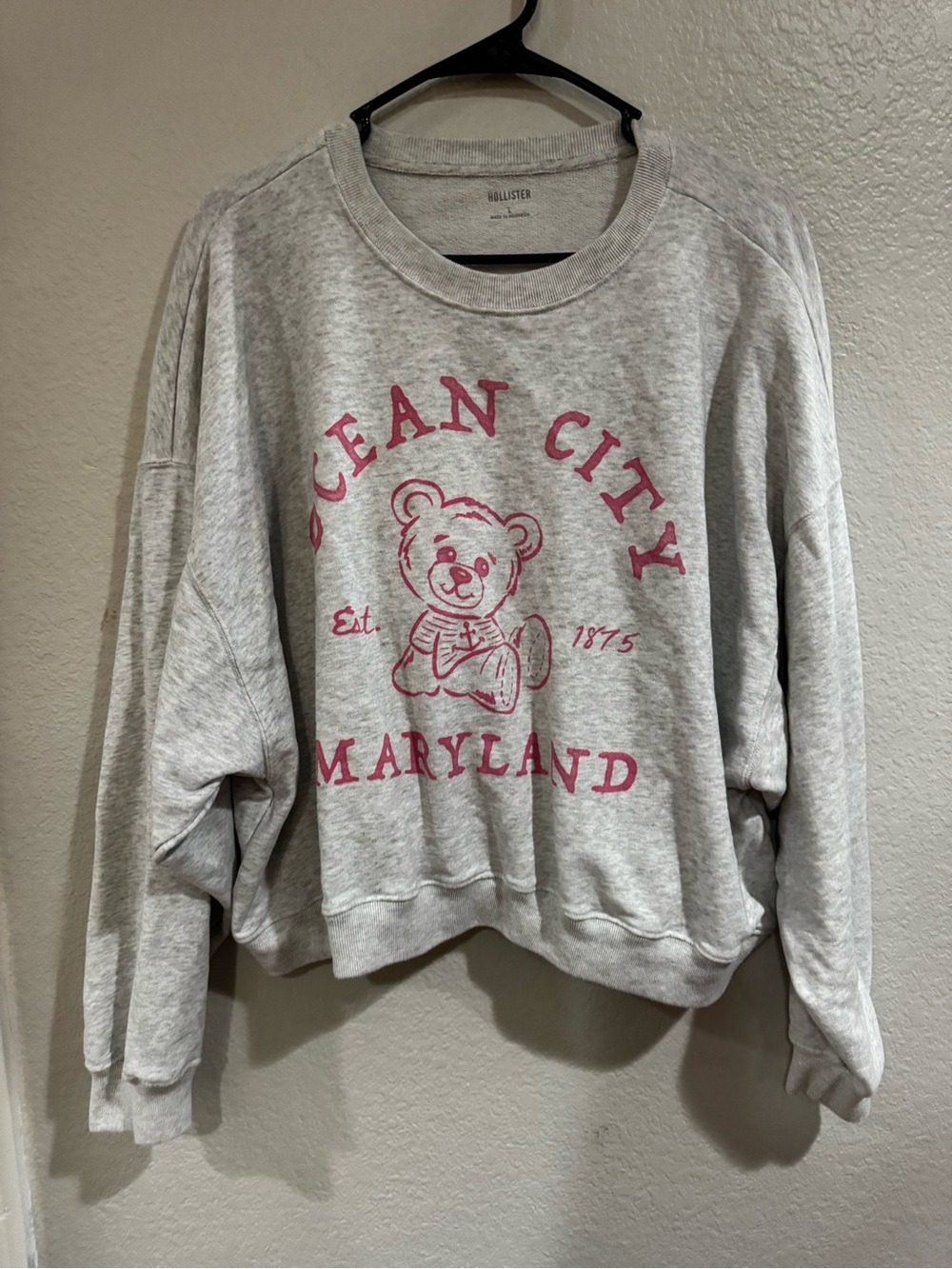 Hollister sweater Large